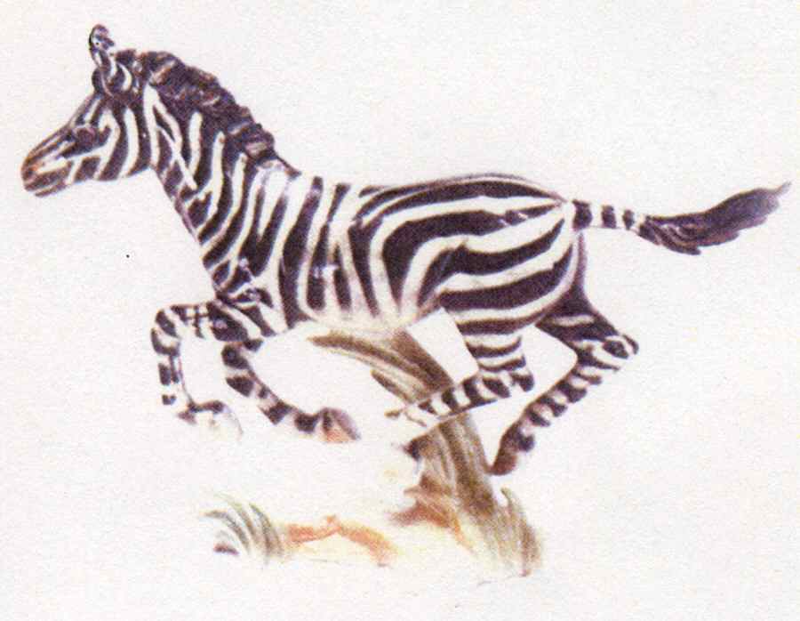 Animals of The Serengeti Grant's Zebra - Boxed by Goebel-1