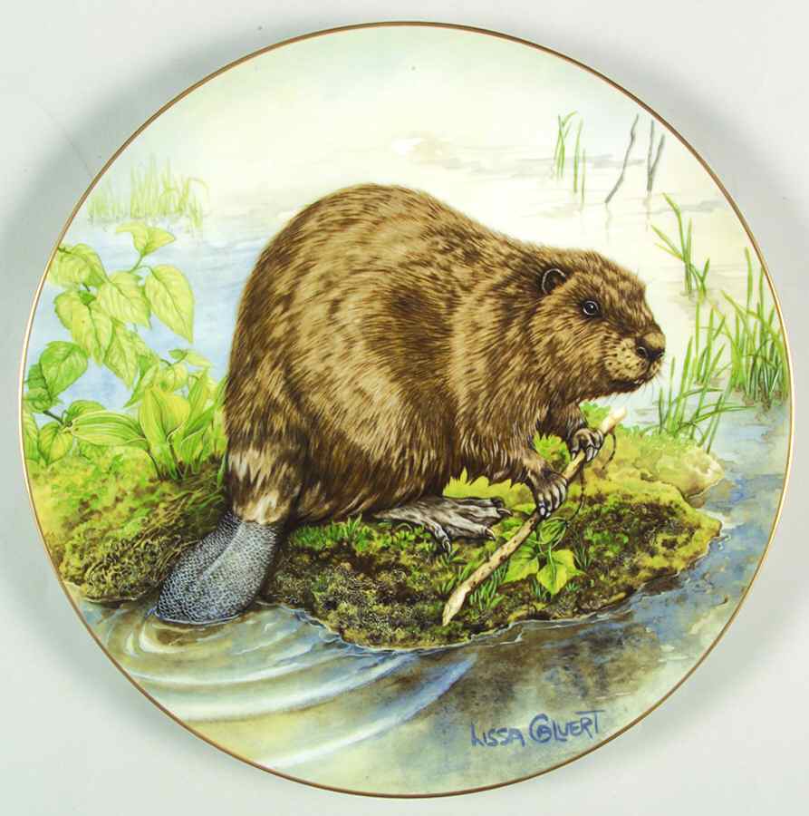 North American Wildlife Beaver - With Box by Goebel-1