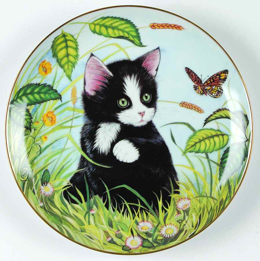 Kitten Appeal Buttercup And Daisies - With Box by Hamilton Collection-1