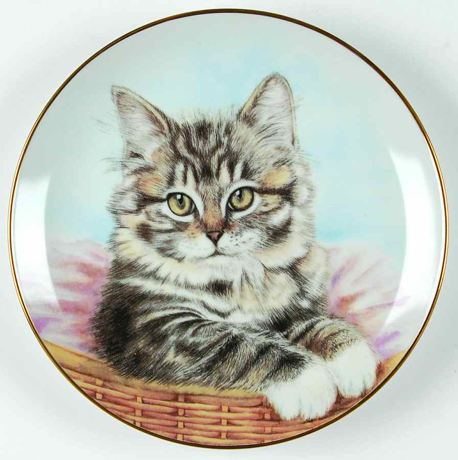 Kitten Appeal Bright Eyes - Boxed by Hamilton Collection-1