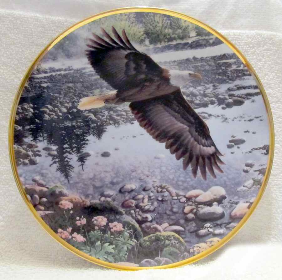 Seasons of Bald Eagle Spring On The River - Boxed by Hamilton Collection-1