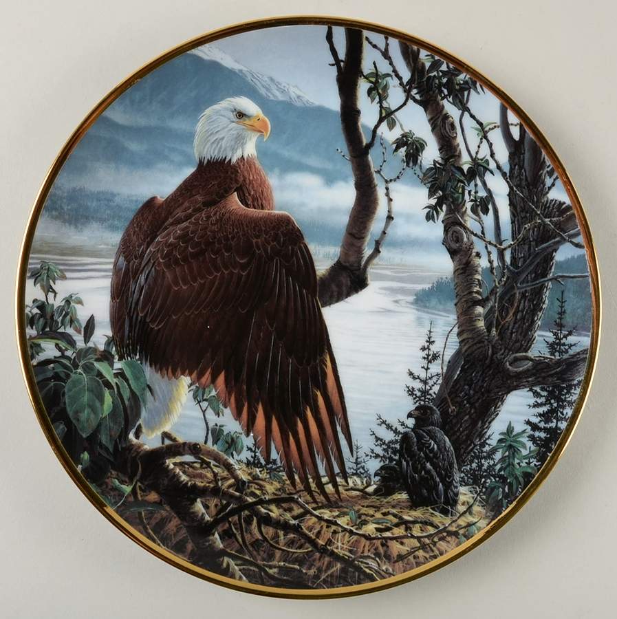 Seasons of Bald Eagle Summer On The Seacoast - No Box by Hamilton Collection-1