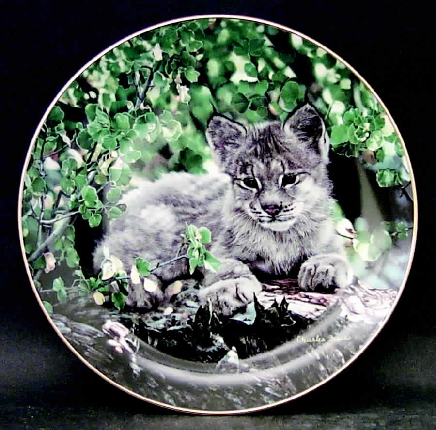 Small Wonders of the Wild Hideaway - With Box by Hamilton Collection-1