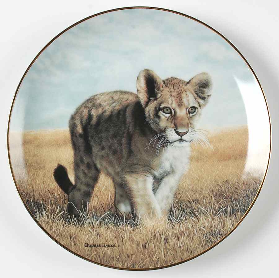 Small Wonders of the Wild Young Explorer - Boxed by Hamilton Collection-1
