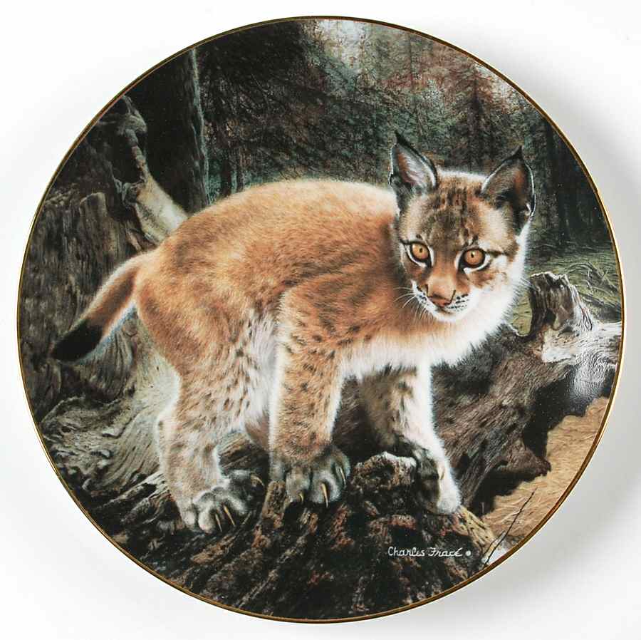 Small Wonders of the Wild Exploring A New  World - Boxed by Hamilton Collection-1