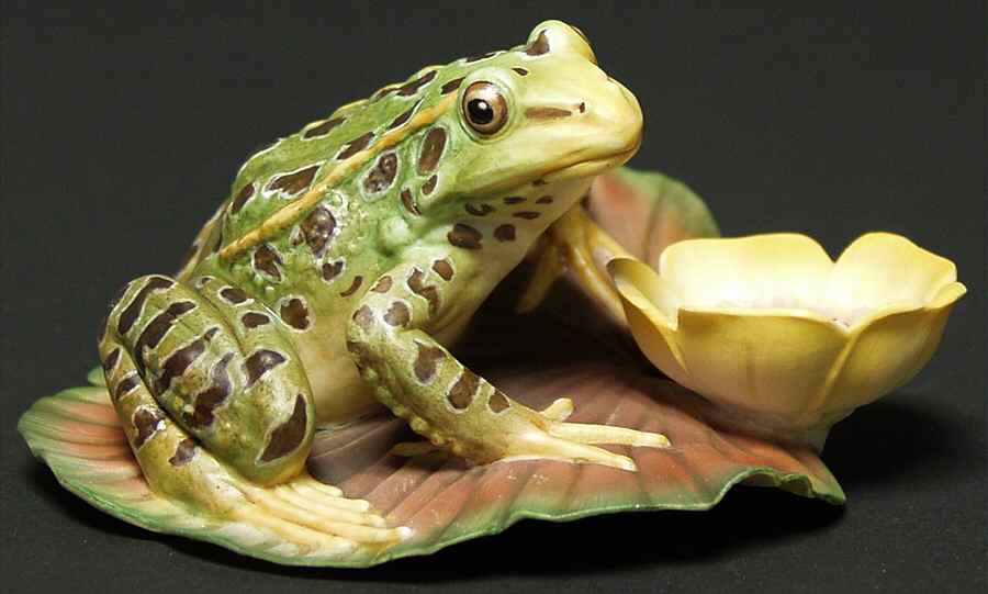 Animals (Wood-Forest) Leopard Frog - No Box by Hutschenreuther-1