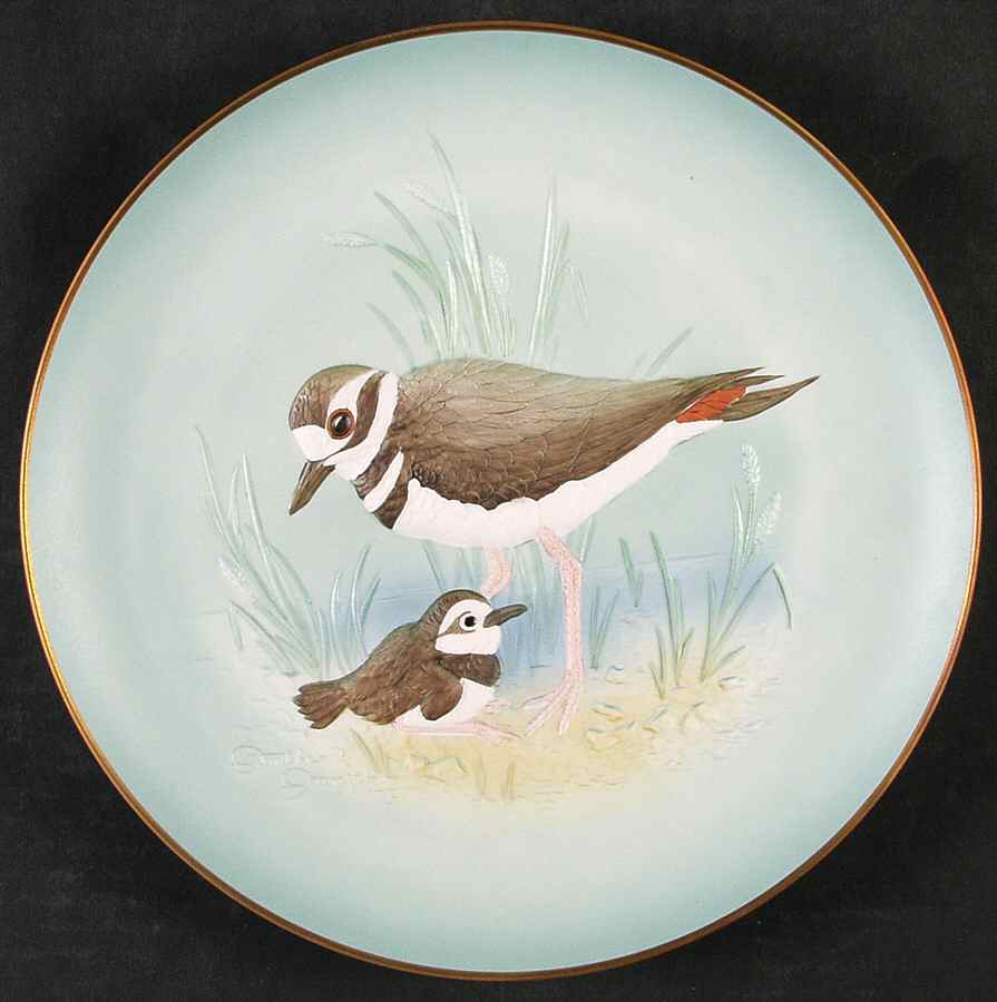 Gunther Granget Killdeer-New Life - No Box by Hutschenreuther-1