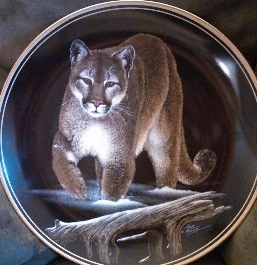 Natures Nighttime Realm Cougar - No Box by Hamilton Collection-1