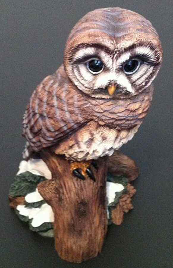 Masters of the Evening Wilderness Barred Owl - No Box by Hamilton Collection-1
