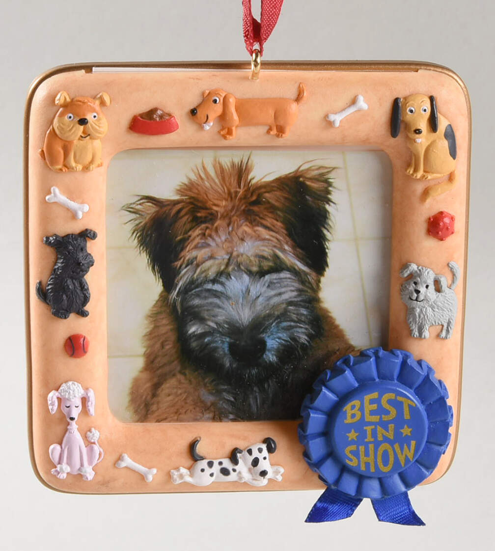 2005 Hallmark Christmas Ornaments Best In Show Photo Holder - Boxed by Hallmark Gold Crown-1
