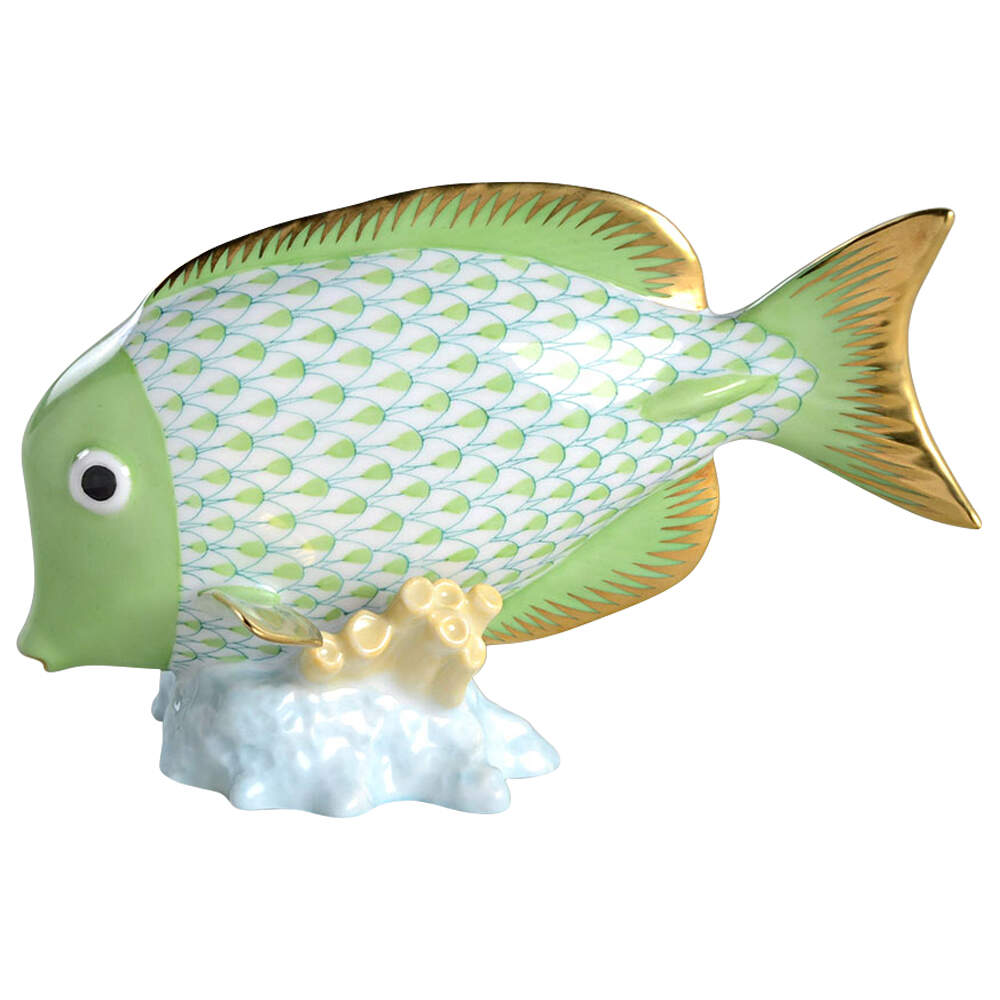 Fish Surgeon Fish-Key Lime - No Box by Herend-1