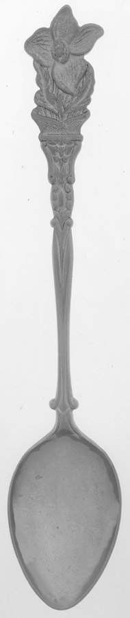 Silverplate Various Landmarks Dogwood - No Box by Holland-1