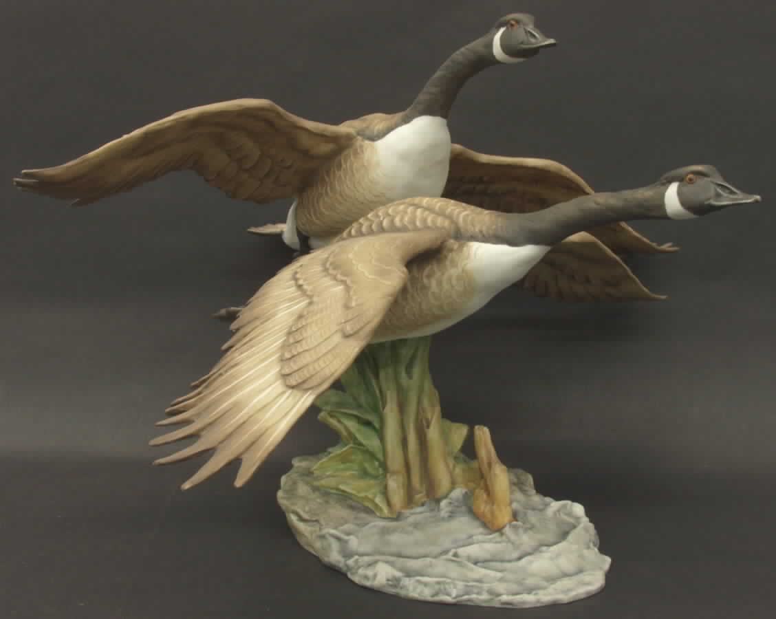 Birds Canada Geese  - No Box by Kaiser-1