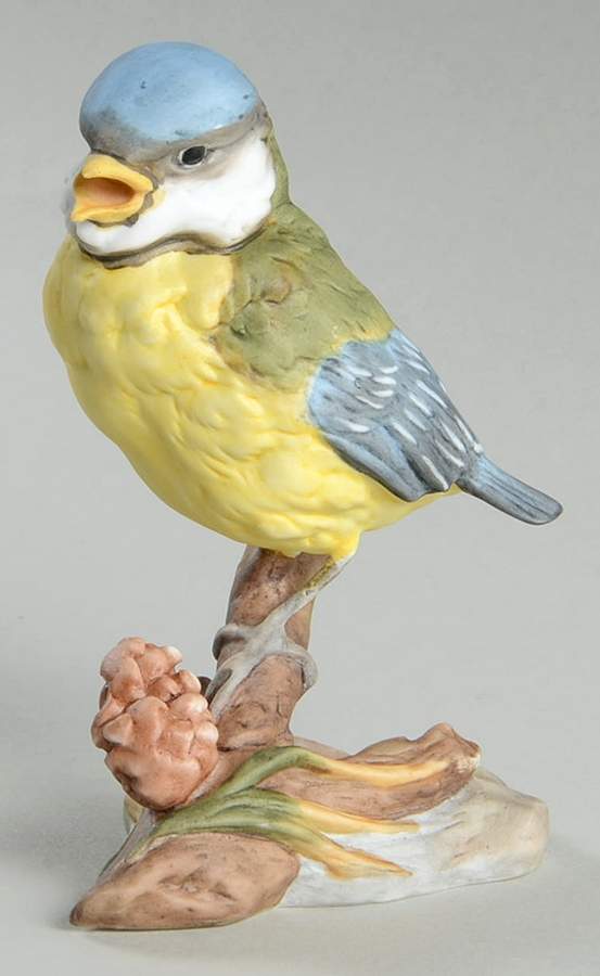 Birds Titmouse - Boxed by Kaiser-1