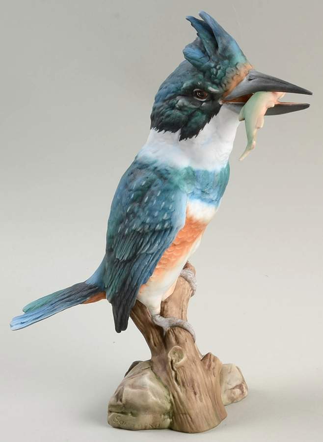 Birds Kingfisher - Boxed by Kaiser-1