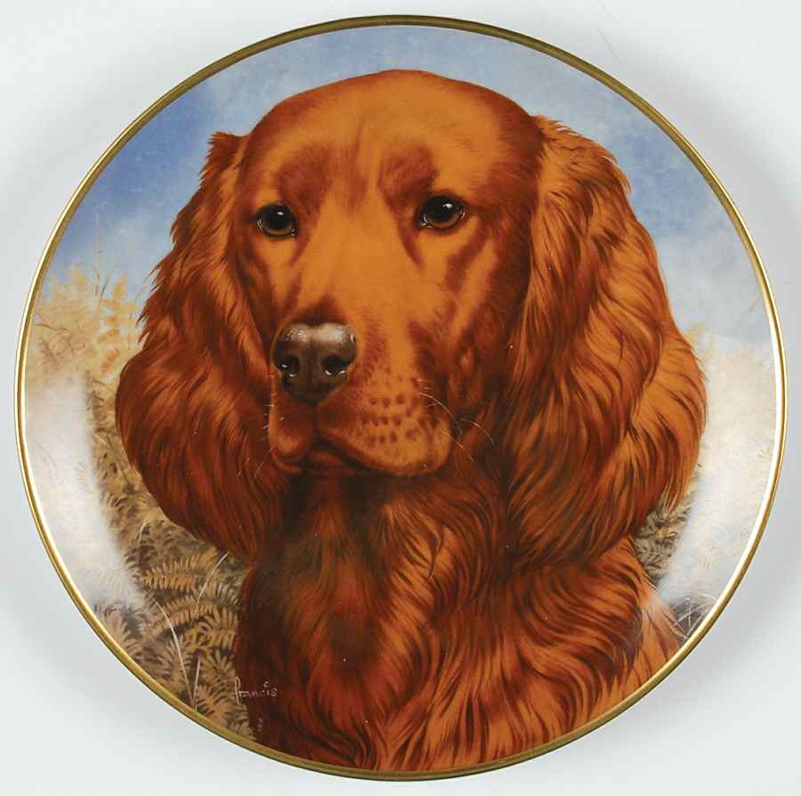 Bird Dogs Irish Setter - Boxed by Kaiser-1