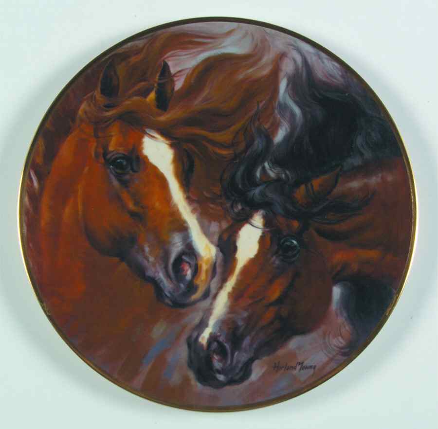 Horses of Harland Young Quarterhorses - No Box by Kern-1