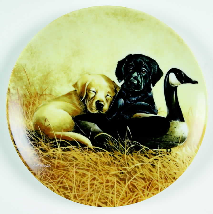 Field Trips Ducking Duty - No Box by Edwin Knowles-1