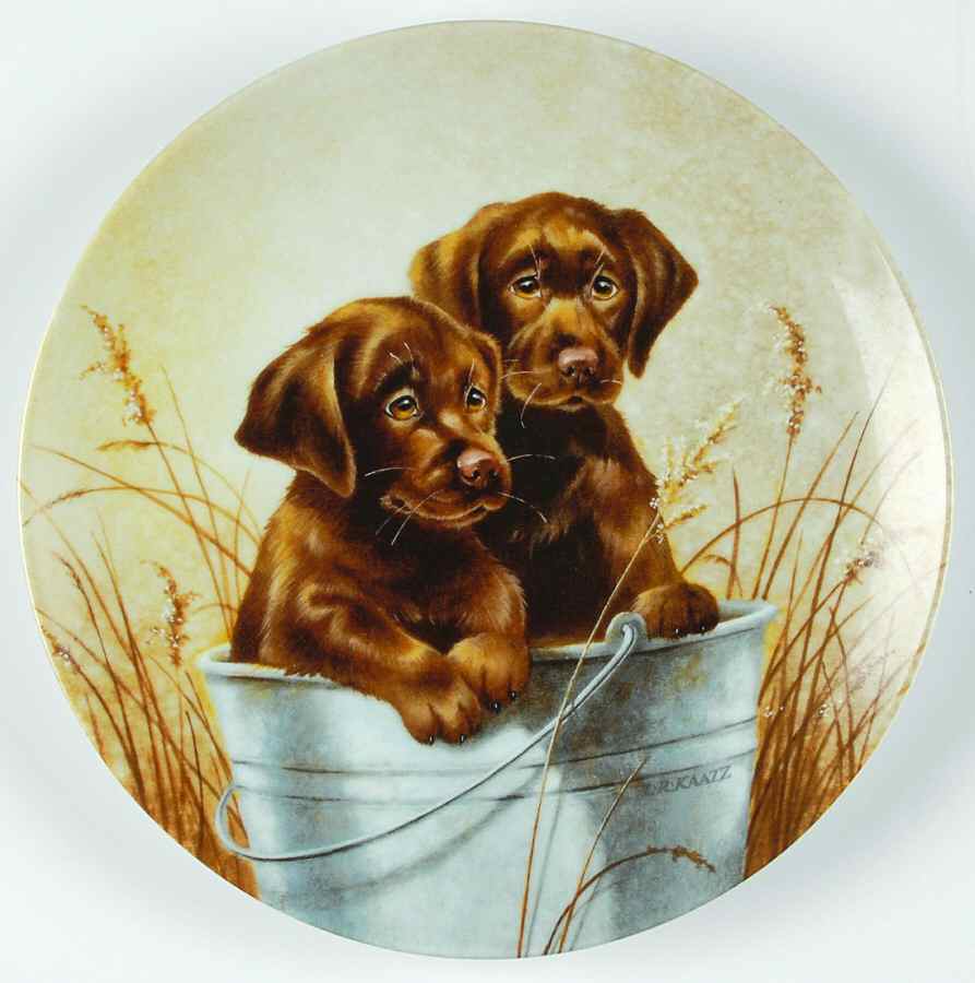 Field Trips Pail Pals - Boxed by Edwin Knowles-1