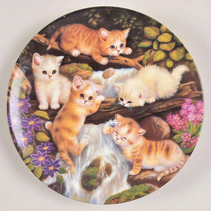 Kitten Expeditions At The Little Waterfall - No Box by Kahla-1