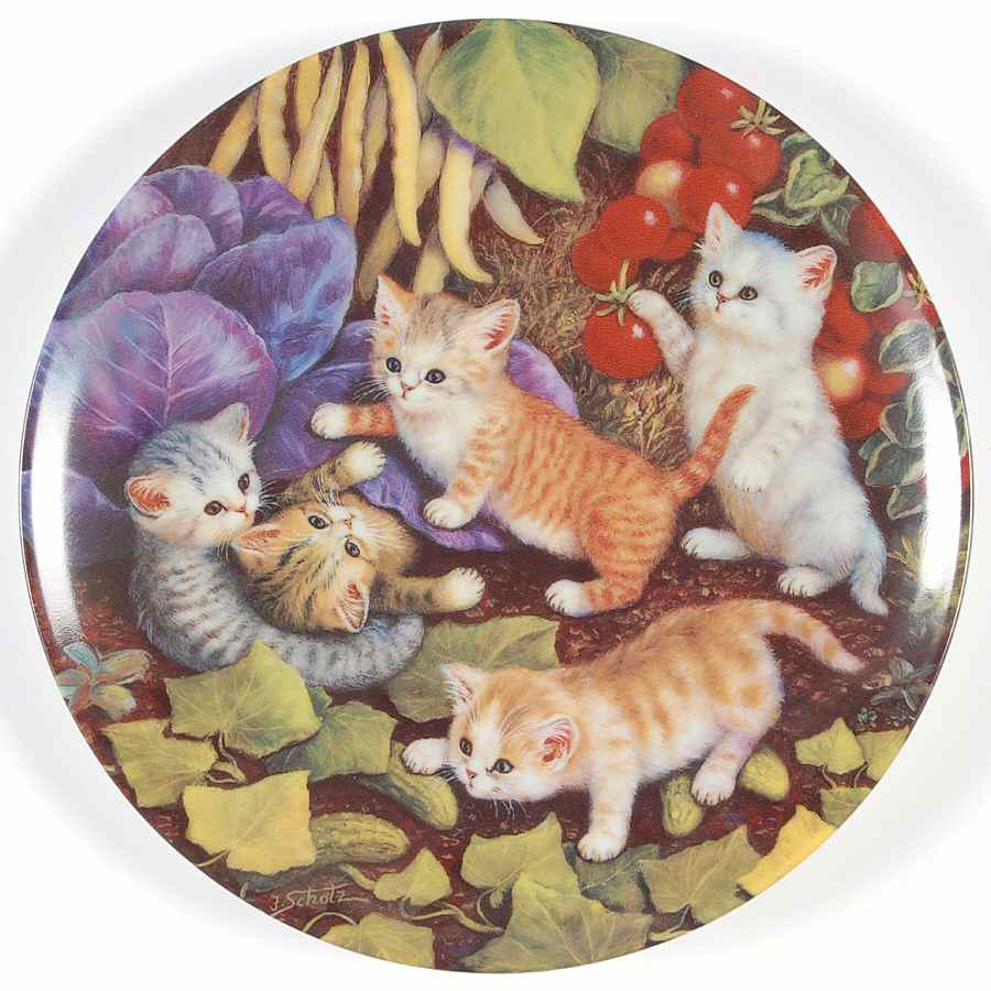 Kitten Expeditions In The Vegetable Patch - No Box by Kahla-1