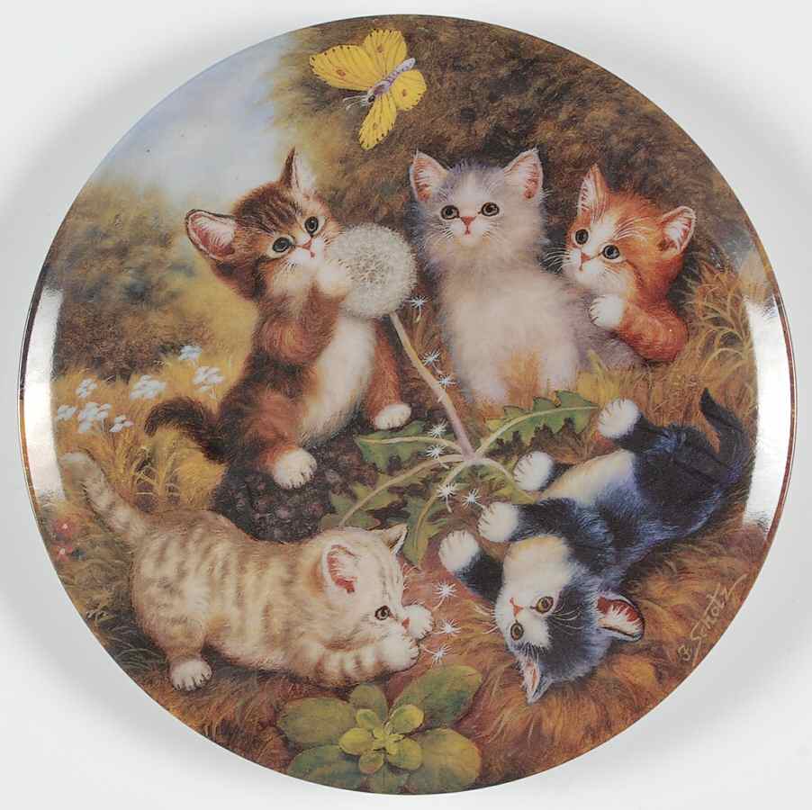 Kitten Expeditions In The Meadow - No Box by Kahla-1