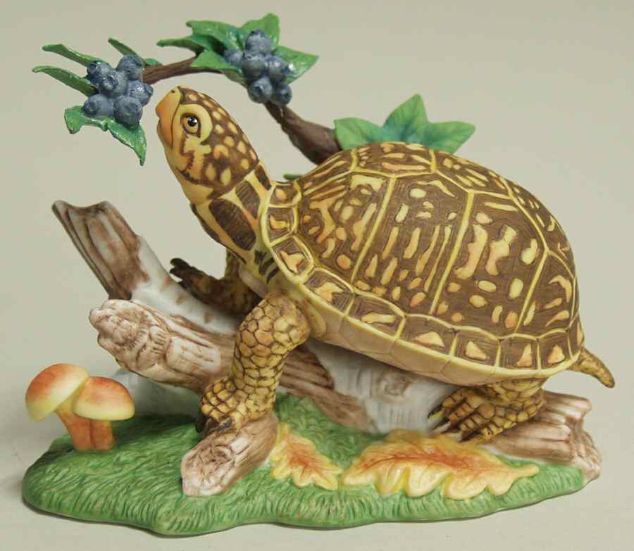 Woodland Animals Fruitful Pursuit-Box Turtle - No Box by Lenox-1