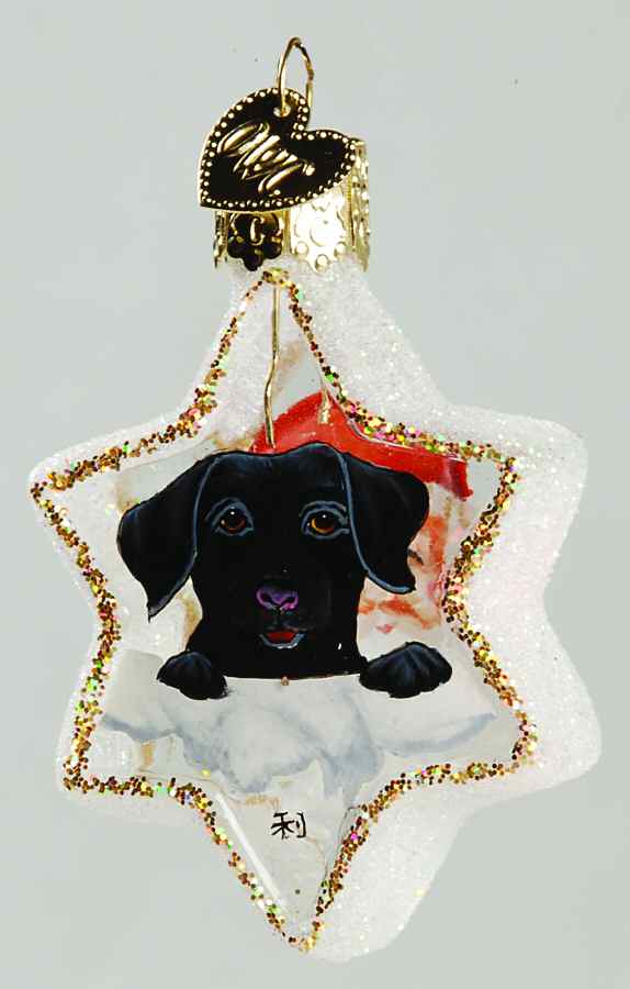 Inside Art Lab Puppy & Santa On Star - With Box Bx1223 by Old World Christmas (Newer)-1
