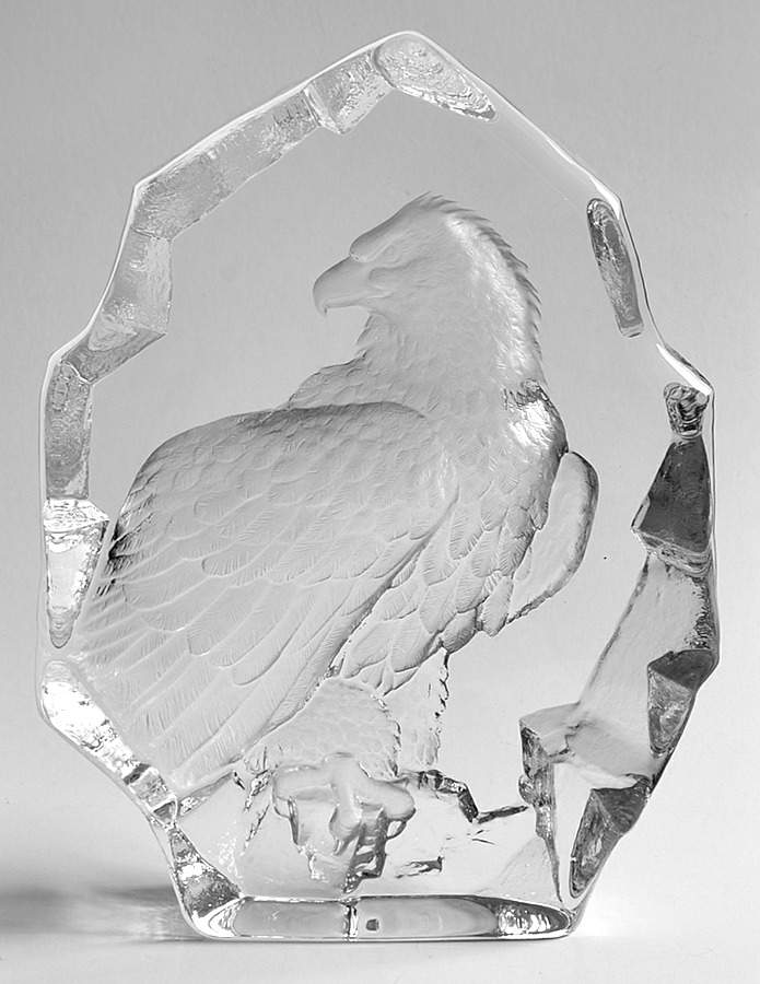 Birds Bald Eagle - Boxed by Mats Jonasson-1