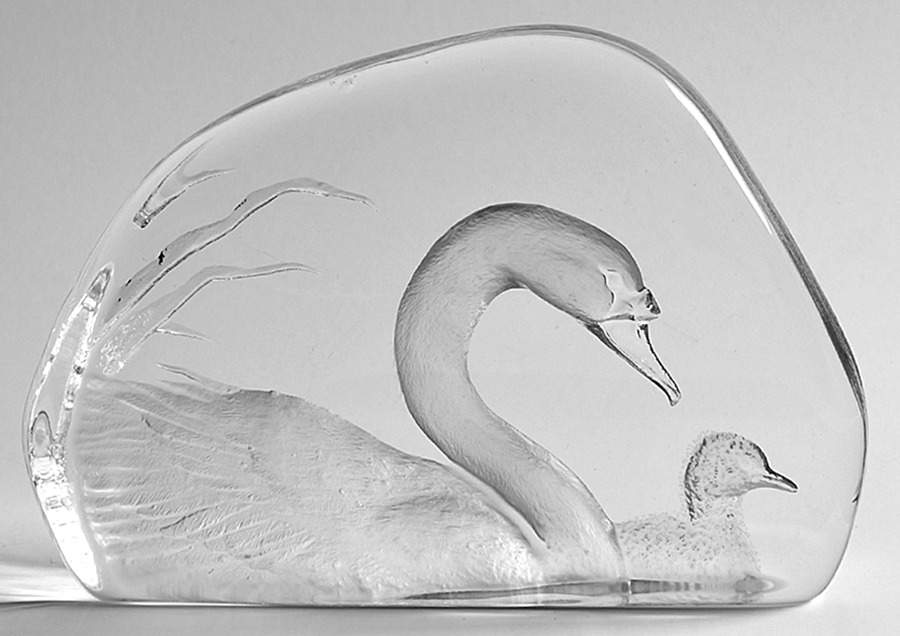 Birds Swan And Cynget - Boxed by Mats Jonasson-1