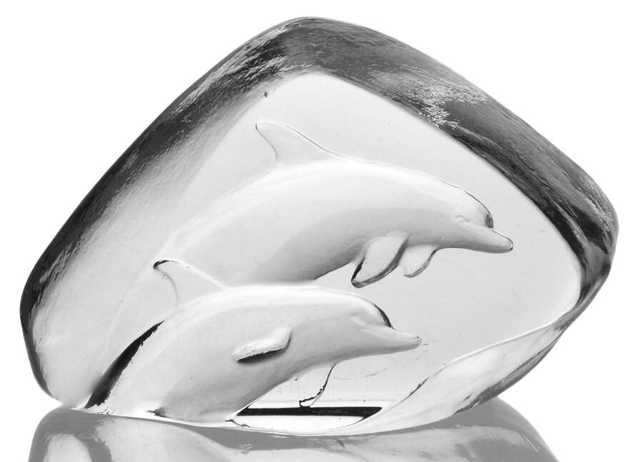 Fish Marine Life & Reptiles Jumping Dolphins - No Box by Mats Jonasson-1