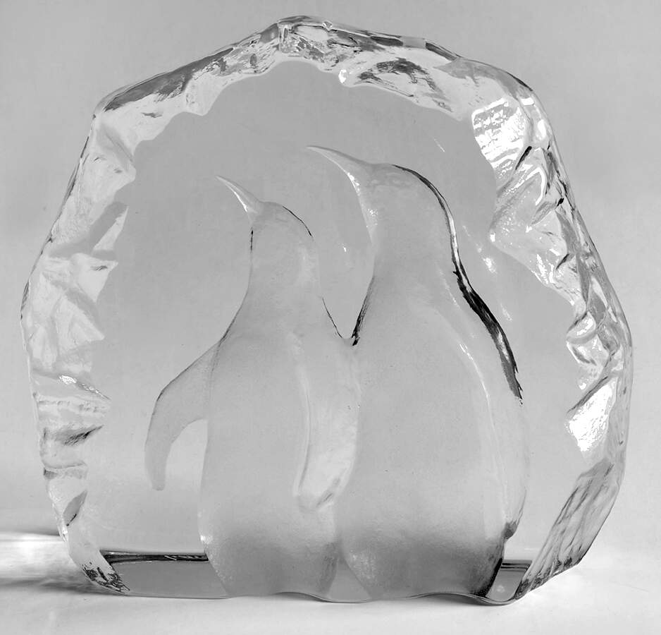 Birds Penguins - Boxed by Mats Jonasson-1