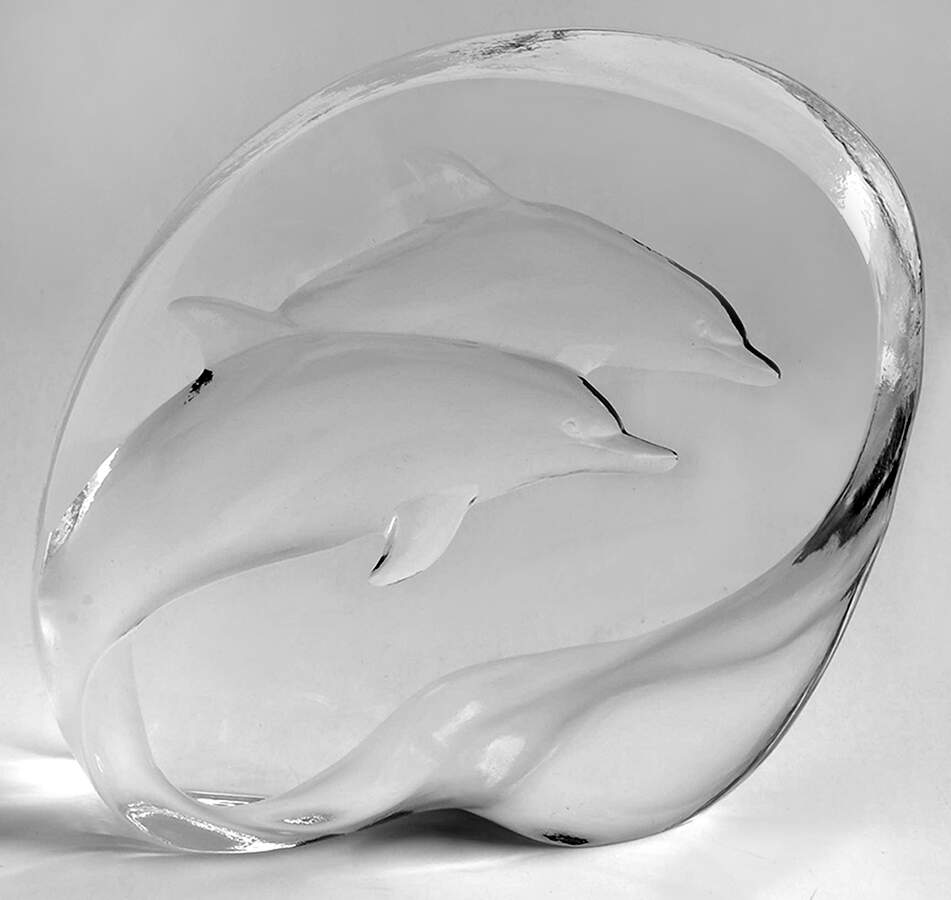 Fish Marine Life & Reptiles Dolphins  - No Box by Mats Jonasson-1