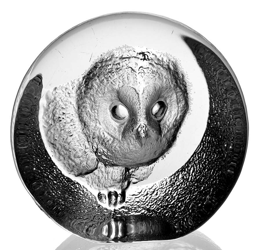 Birds Owl - Boxed by Mats Jonasson-1