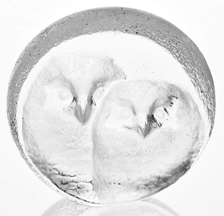 Birds Owlets - With Box by Mats Jonasson-1