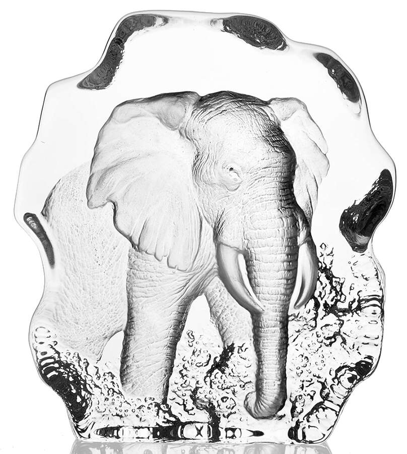 Tropical Animals Elephant - Boxed by Mats Jonasson-1