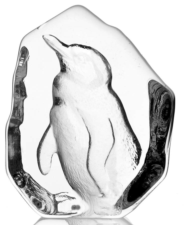 Birds Penguin - No Box by Mats Jonasson-1