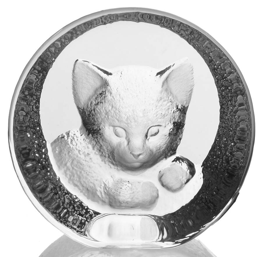 Cats Kitten - Boxed by Mats Jonasson-1