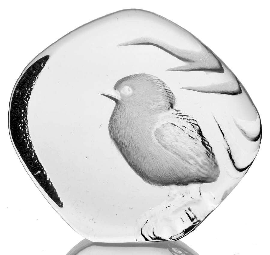 Birds Bird - Boxed by Mats Jonasson-1