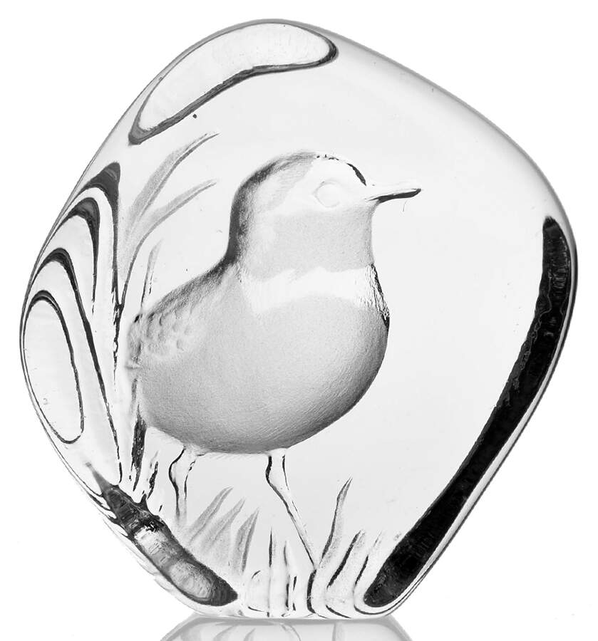 Birds Bird - No Box by Mats Jonasson-1