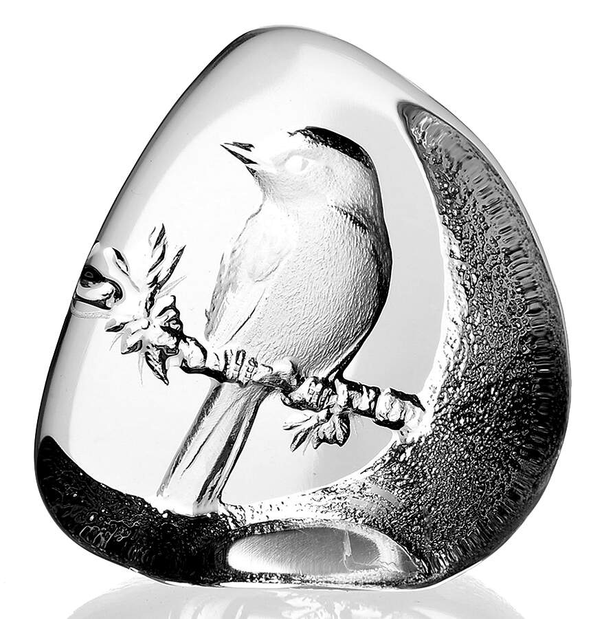 Birds Flycatcher - Boxed by Mats Jonasson-1