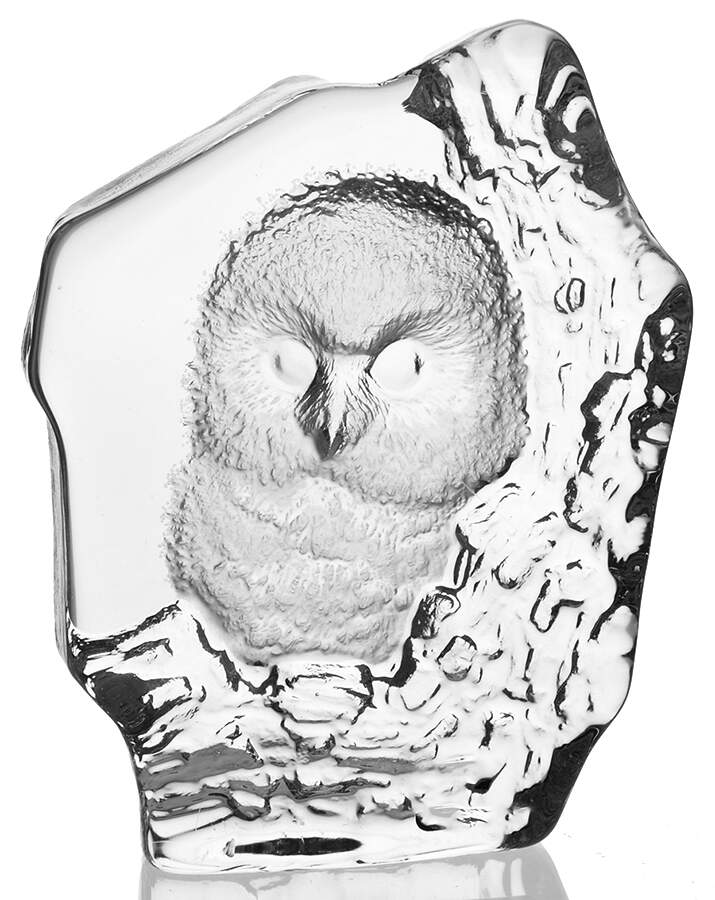 Birds Baby Owl - Boxed by Mats Jonasson-1