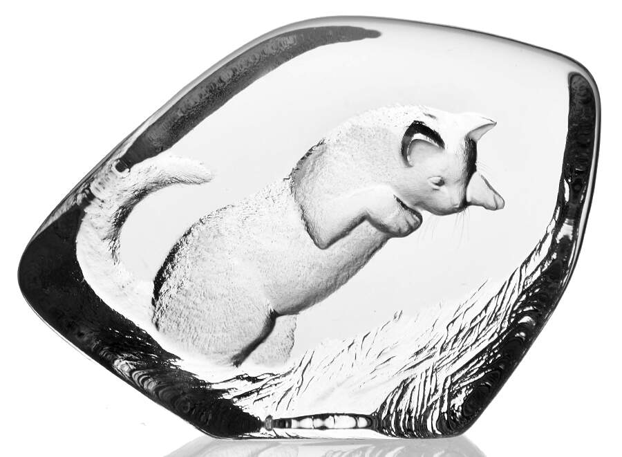 Cats Poucing Cat - Boxed by Mats Jonasson-1