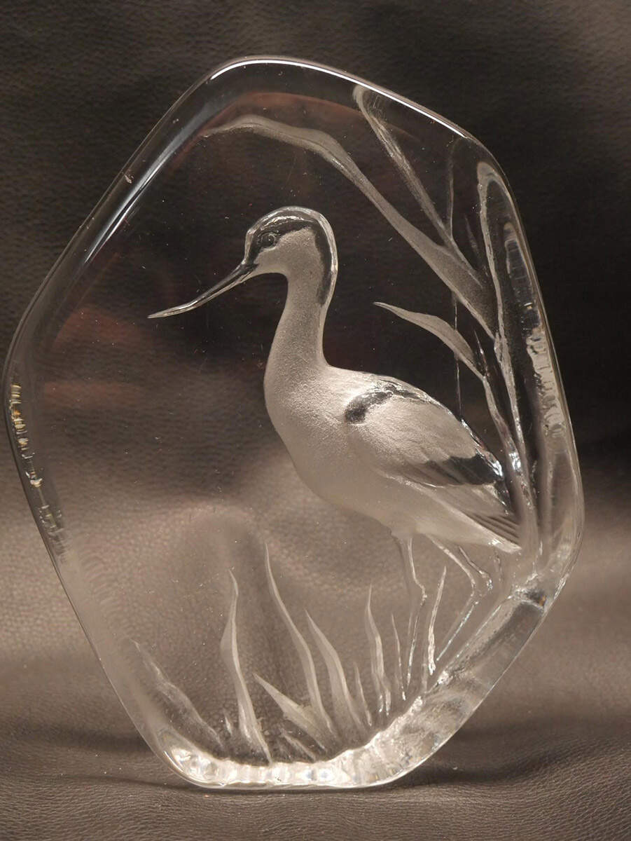 Birds Avocet - Boxed by Mats Jonasson-1