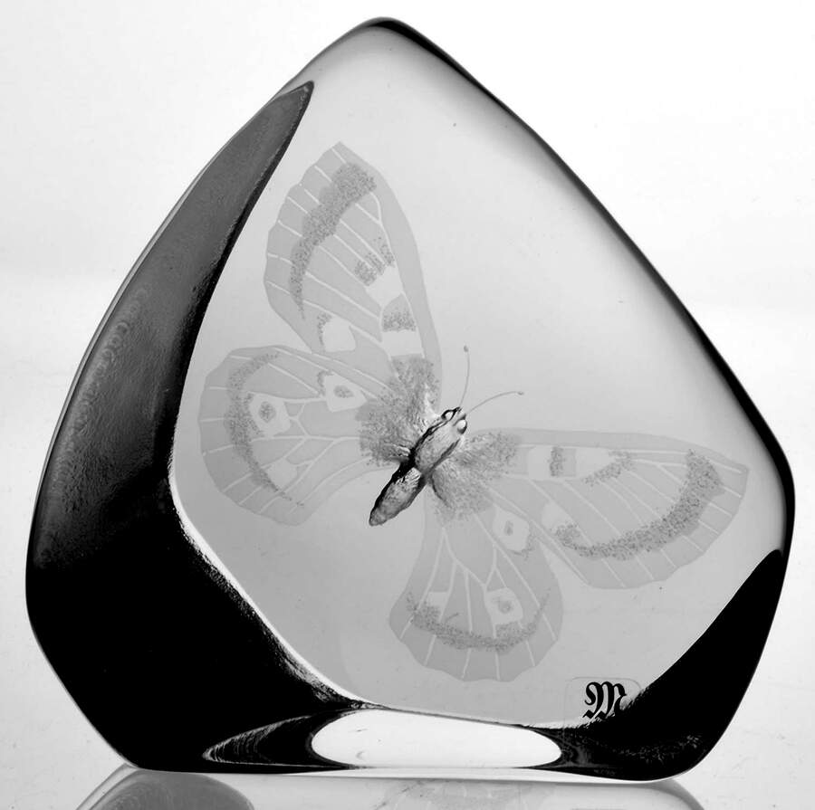 Bugs & Insects Butterfly - With Box by Mats Jonasson-1