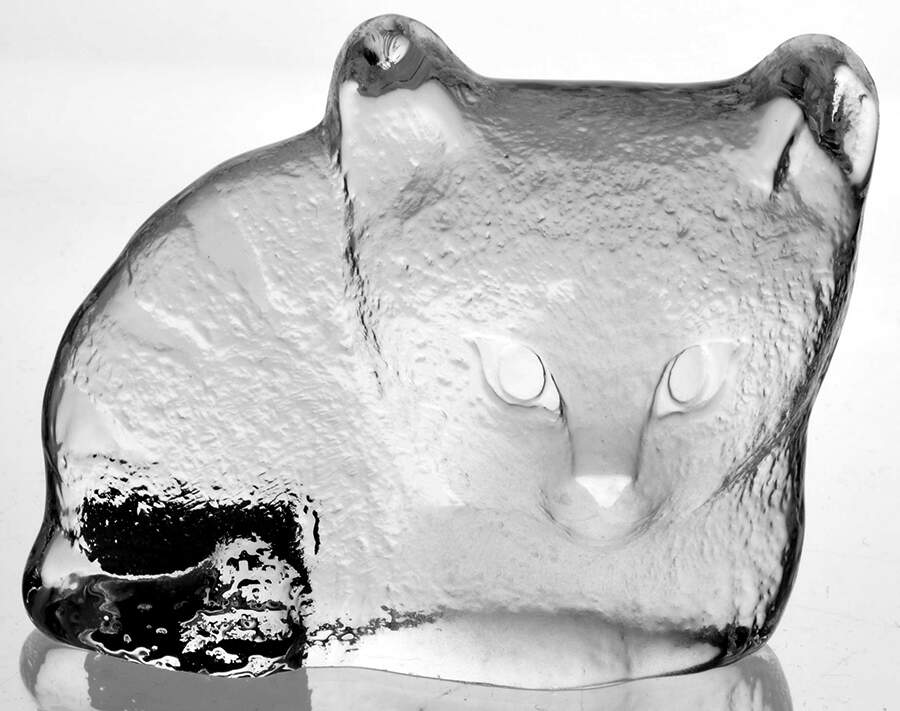 Cats Cat - No Box by Mats Jonasson-1