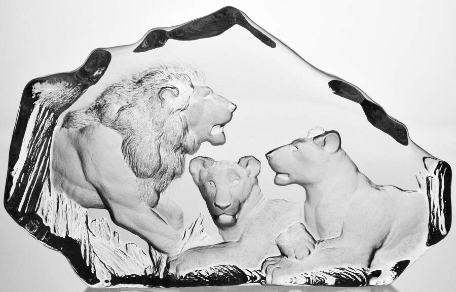 Tropical Animals Family Of Lions - No Box by Mats Jonasson-1