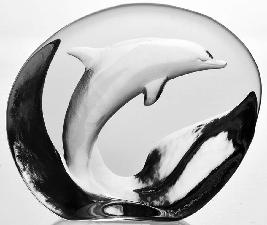 Fish Marine Life & Reptiles Dolphin - No Box by Mats Jonasson-1