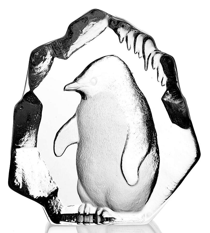 Birds Penguin  - No Box by Mats Jonasson-1