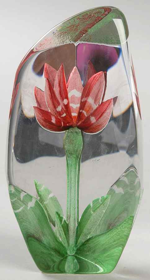 Floral Fantasy Red Anemone  - Boxed by Mats Jonasson-1